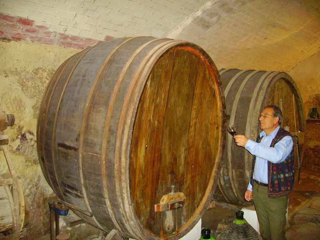 L'Antica Cantina Usini Quarto foto