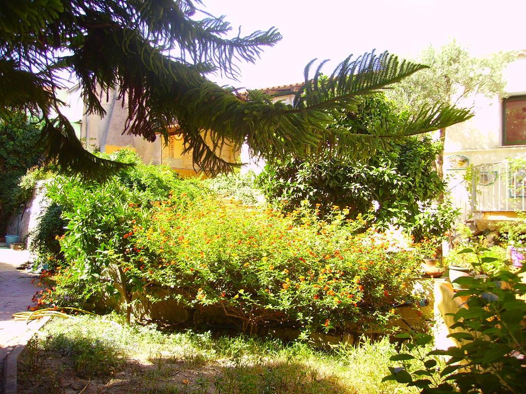 L'Antica Cantina Usini Exterior foto
